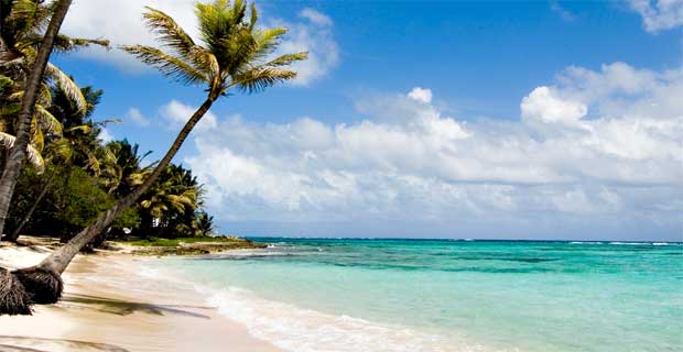 Tropical beach paradise